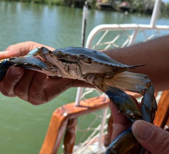 Antalya Fishing